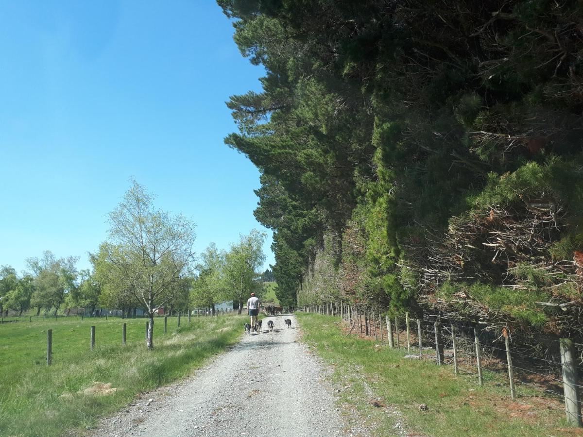 Te Anau Farm Cottage Esterno foto
